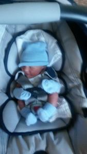 10443940_10152439382182279_30467491_n